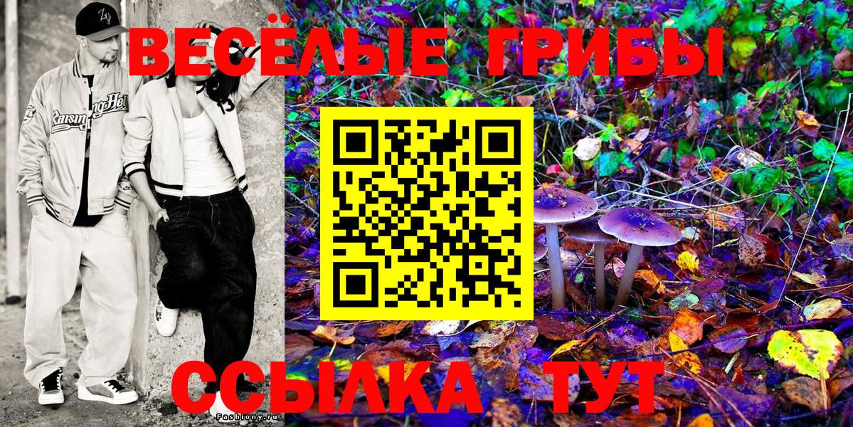 Псилоцибиновые грибы Psilocybe  Вход с VPN  Выкса 