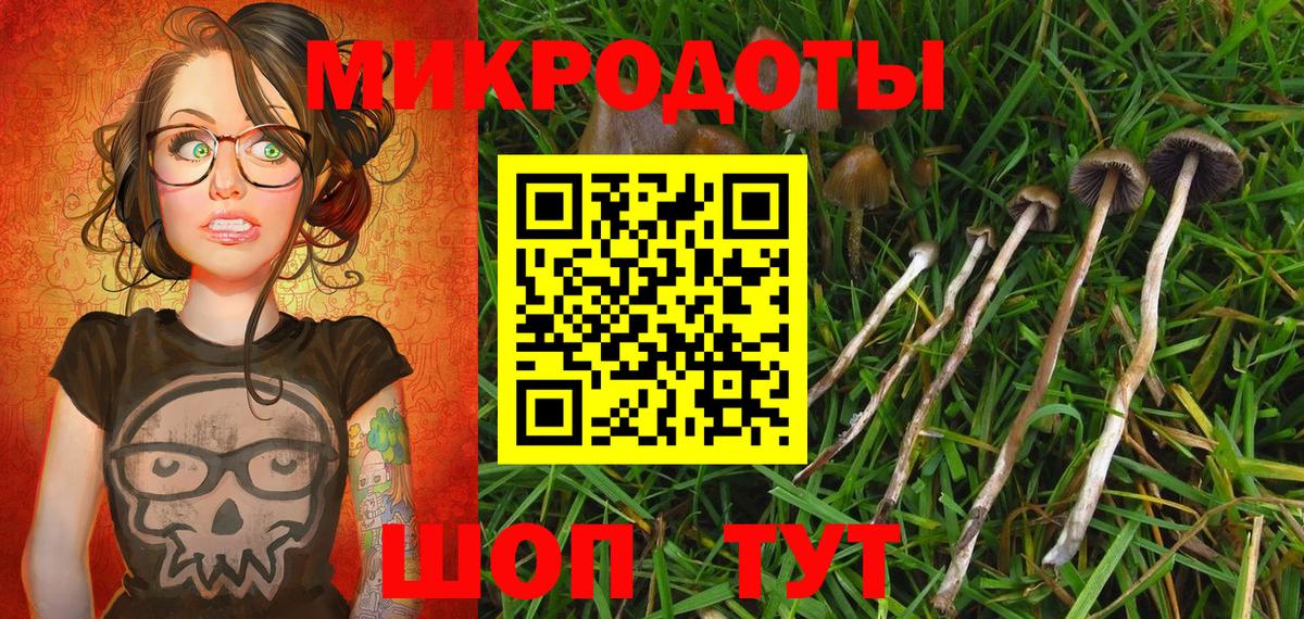Галлюциногенные грибы мицелий Выкса